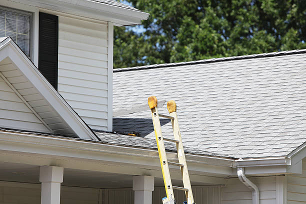 Best Shed Removal  in Leetonia, OH