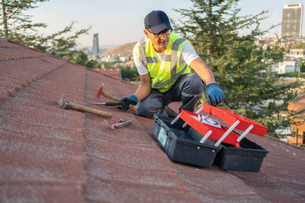 Best Hoarding Cleanup  in Leetonia, OH